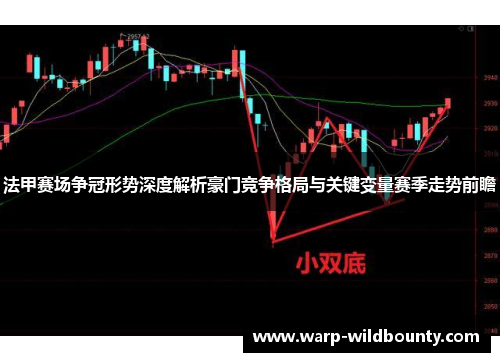 法甲赛场争冠形势深度解析豪门竞争格局与关键变量赛季走势前瞻
