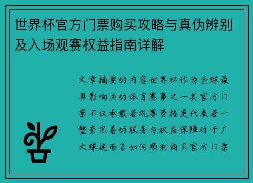 世界杯官方门票购买攻略与真伪辨别及入场观赛权益指南详解