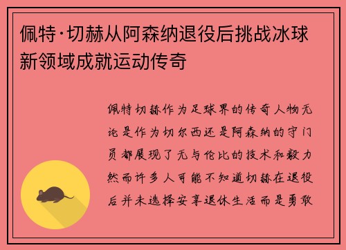 佩特·切赫从阿森纳退役后挑战冰球新领域成就运动传奇 佩特·切赫从阿森纳退役后挑战冰球新领域成就运动传奇